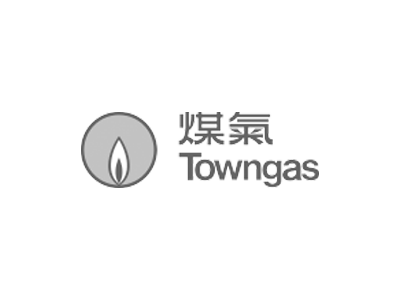 Towngas Appliance